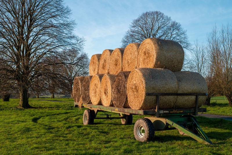 Hay bales stacked on an open trailer.