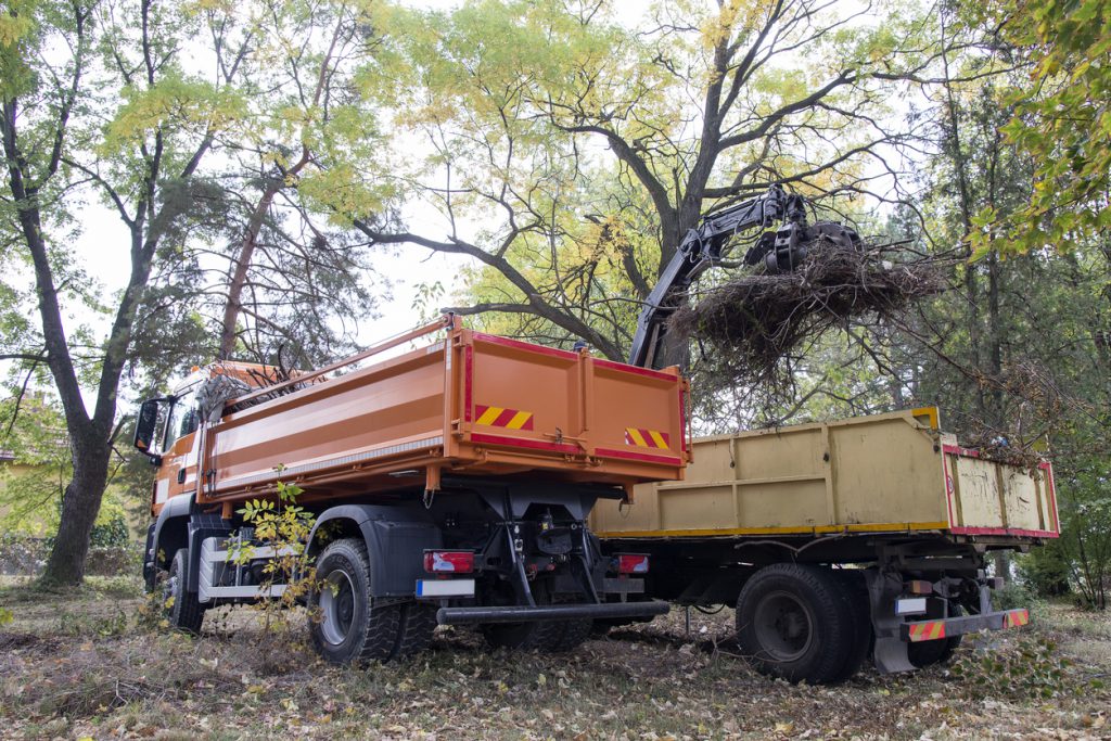 Garbage truck in the forest