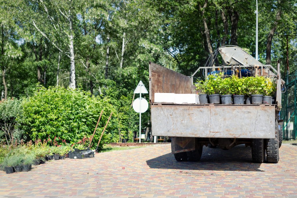 Back view of open truck body delivering from nursery plants and flowers seedlings for gardening at city park or garden. Lanscaping design and replanting of city streets. Cargo vehicle on bright day.