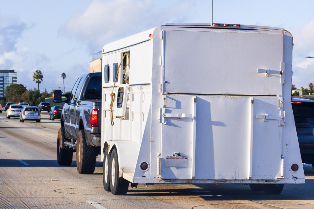 Trailer transporting horses towed by a truck on the freeway