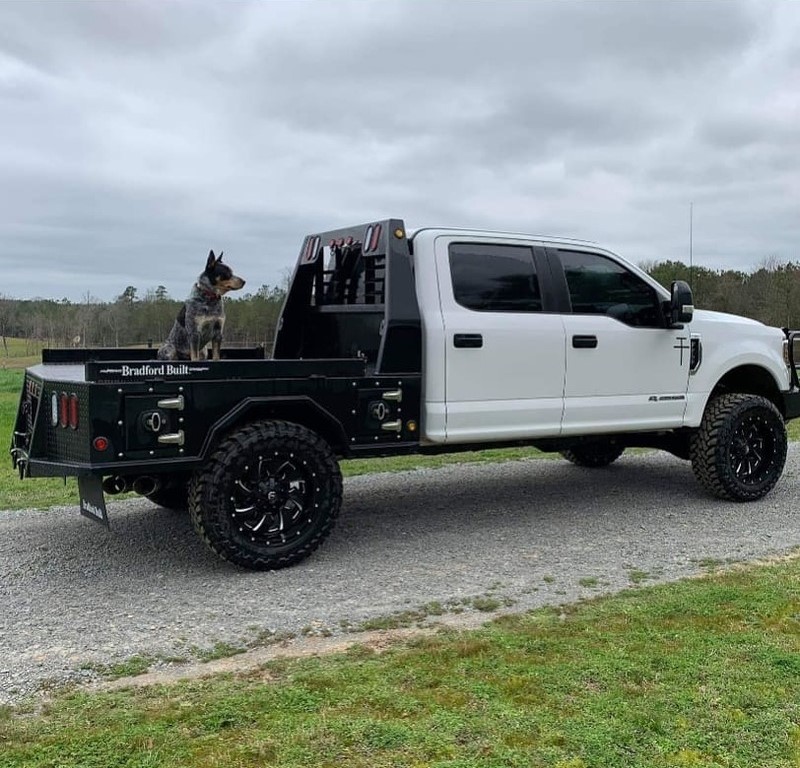 Steel box Bradford Built truck bed with a dog.