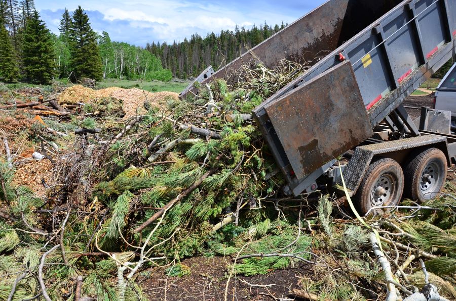 A dump trailer dumping tree debris.