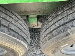 2020 Diamond C LPD LPD207-12X82-GREEN - #DCT22320
