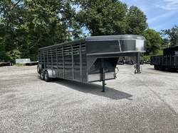 2025 Calico SG242 - #CAL00916